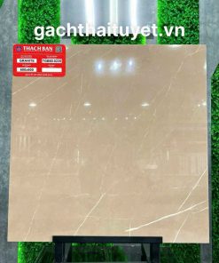 Gạch thạch bàn 60x60 mã TGB60-0235