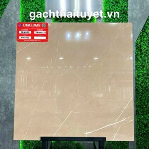 Gạch thạch bàn 60x60 mã TGB60-0235
