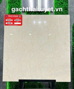 Gạch thạch bàn 60x60 mã TGB60-0853