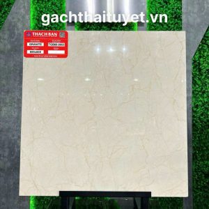 Gạch thạch bàn 60x60 mã TGB60-0853