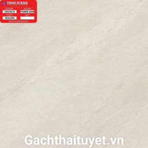 Gạch Thạch bàn 80x80 mã PGM80-0289