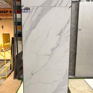 Gạch Vitto 60x120 mã 39002