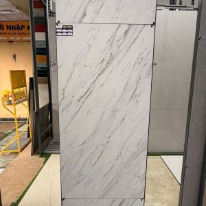 Gạch Vitto 60x120 mã 39003