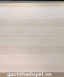 Gạch Vitto 60x120 mã 39060