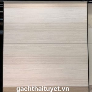 Gạch Vitto 60x120 mã 39060