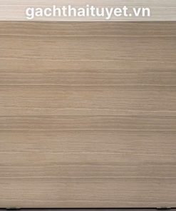 Gạch Vitto 60x120 mã 39070
