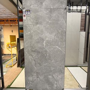 Gạch Vitto 60x120 mã 39280