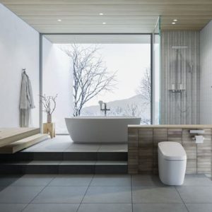 THIẾT BỊ VỆ SINH INAX