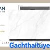 Gạch Thạch bàn 60x120 mã TGB 612-8401