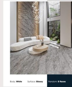 Gạch Ý MỸ 60x120 mã F61248002R